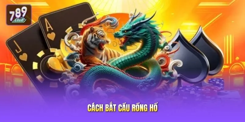 Cách bắt cầu Rồng Hổ