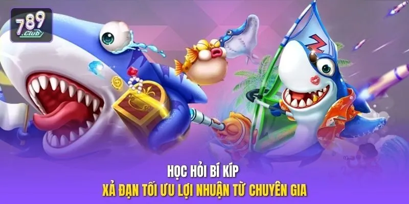Học hỏi bí kíp xả đạn tối ưu lợi nhuận từ chuyên gia
